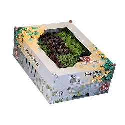 SAKURA MIX CRESS [Τεμ.] - 18